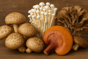 medicinal mushrooms for immunity